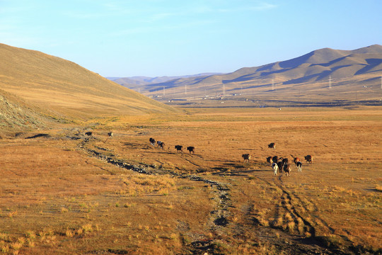 蒙古旅游摄影