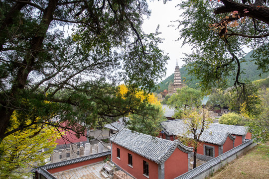 济南灵岩寺