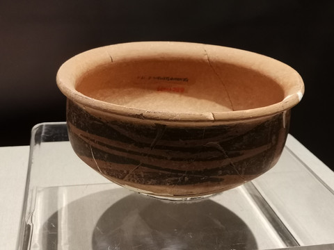 仰韶文化几何鱼纹彩陶盆