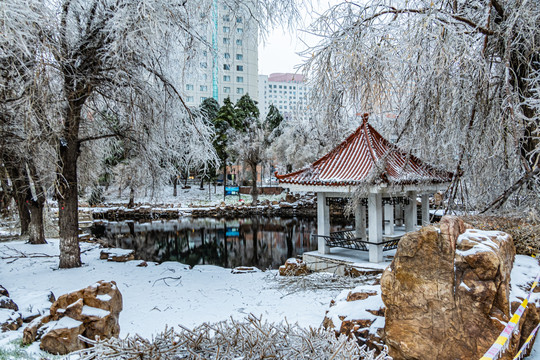 雨雪过后的中国长春城区冬季景观