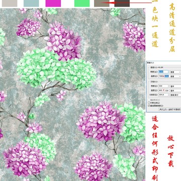 绣球花