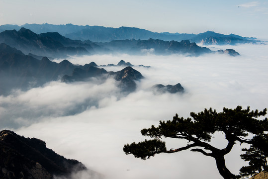 华山云海