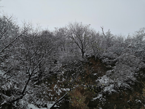 雪景