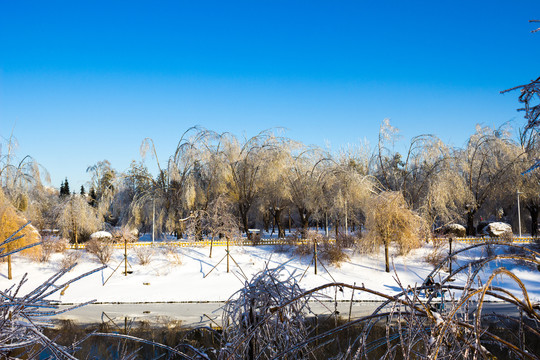 雪后的河岸