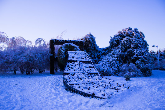 雪后花架