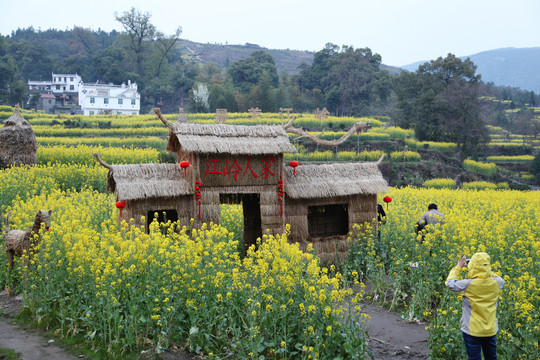 春到江岭