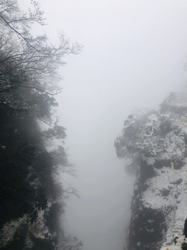 风雪山林