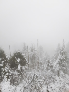 风雪山林