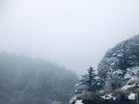 风雪山林