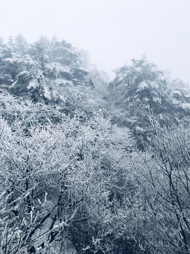 风雪山林