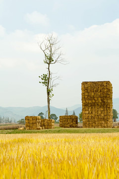 池中寺粮仓