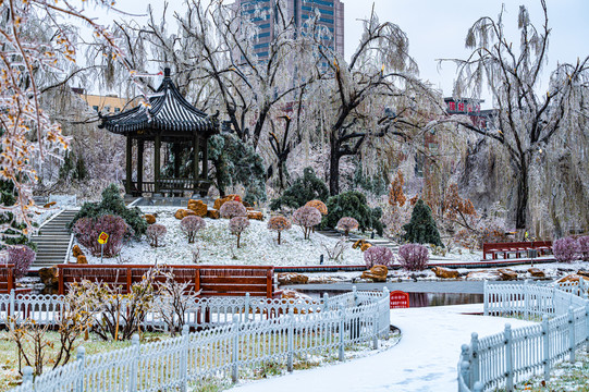 中国长春牡丹园冬季景观