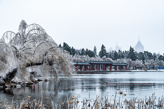 中国长春南湖公园冬季景观