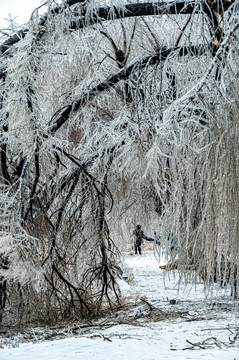 中国长春南湖公园冬季景观