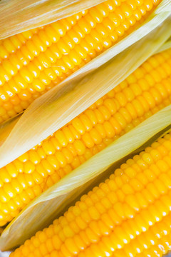 煮熟的玉米特写健康营养食品