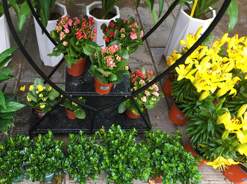 鲜花店