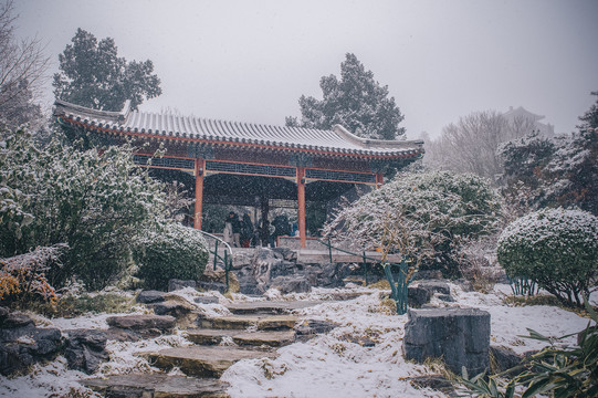 景山公园雪景