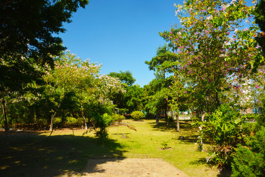 南沙天后宫风景