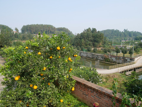 四川农村