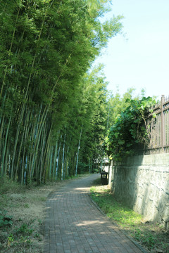 竹林路