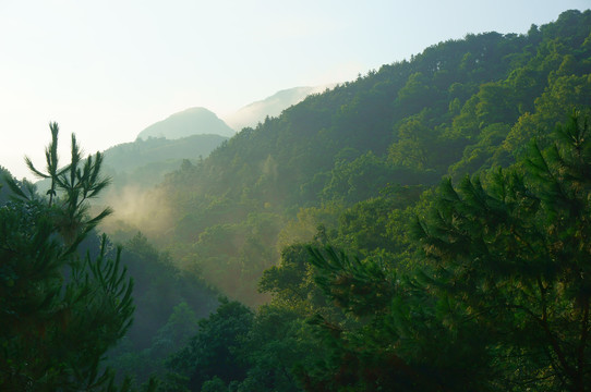 高山晨雾