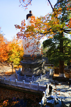 敕建大觉寺