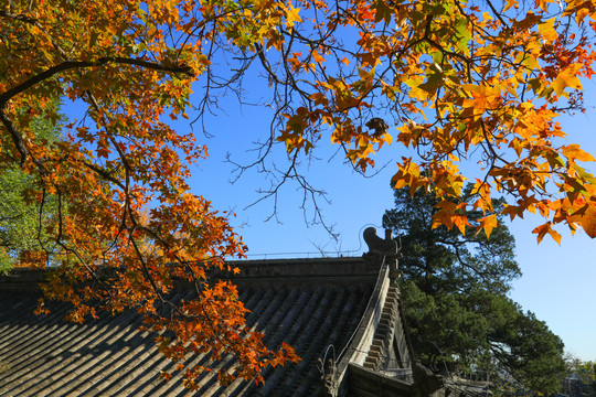 敕建大觉寺