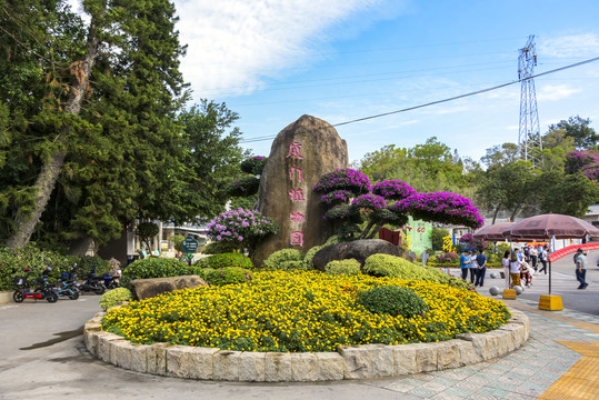 厦门植物园