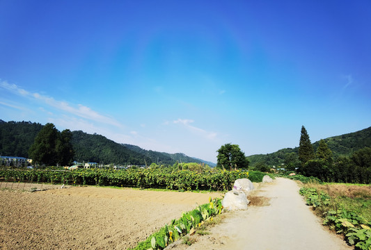 山水