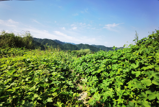 山水