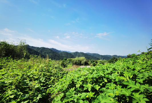 山水