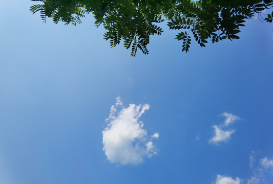 山水