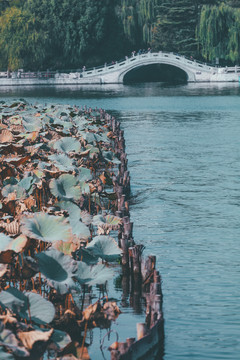 济南大明湖景区