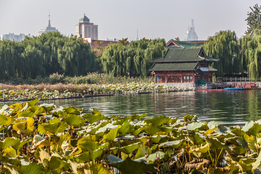 济南大明湖景区