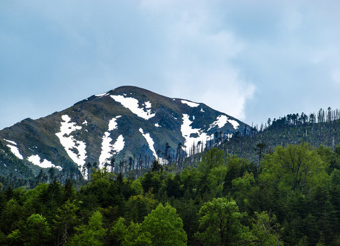 雪山之巅