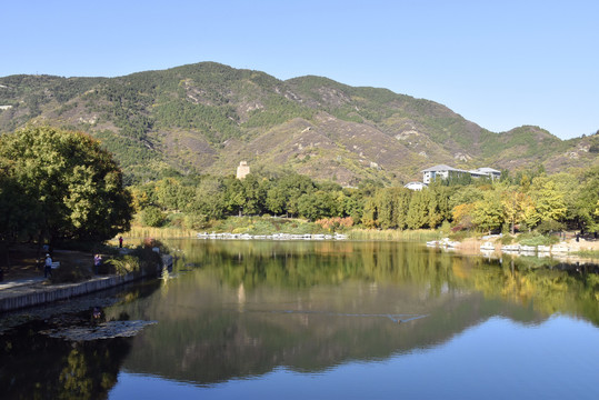 北京植物园秋意渐浓美景如画