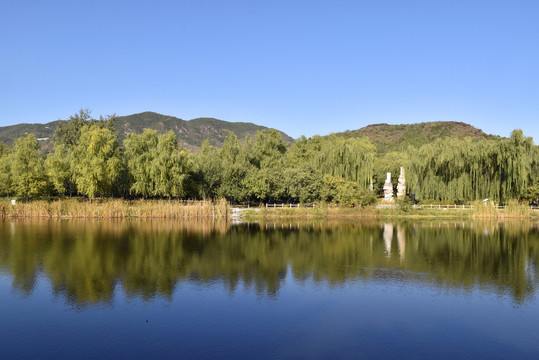 北京植物园秋意渐浓美景如画