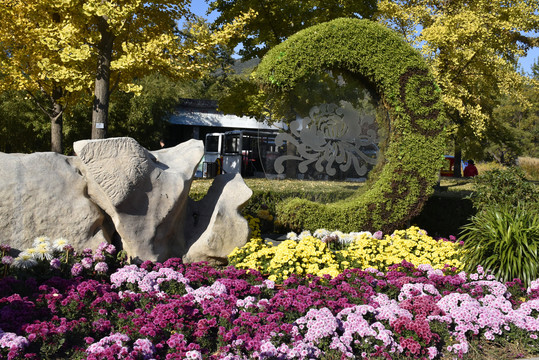 北京植物园秋意渐浓美景如画