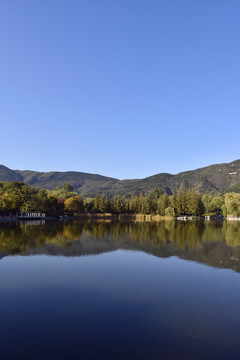 北京植物园秋意渐浓美景如画