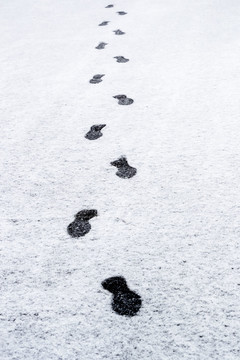 雪地一串脚印