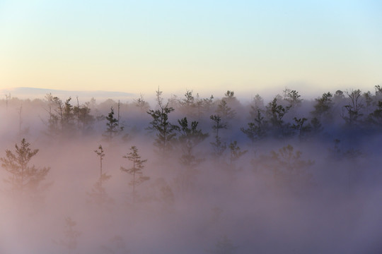 雾漫山林