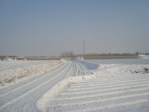 大雪覆盖下的耕地