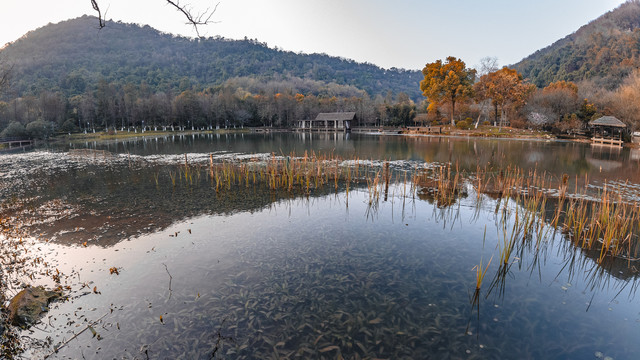 杭州八卦湖