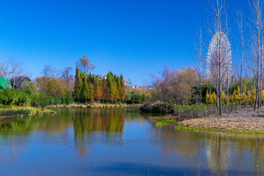 色彩斑斓湿地