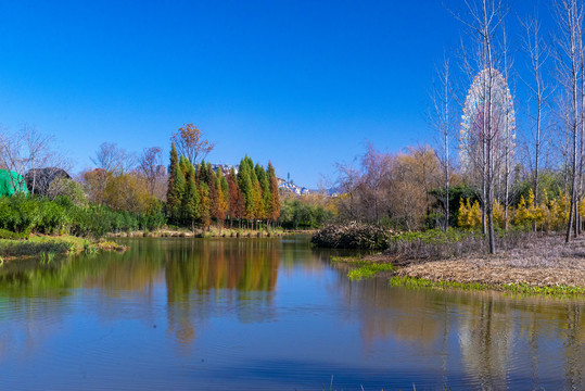 色彩斑斓湿地