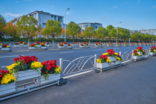 公路花卉装置