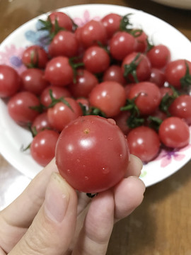 手拿仙女果