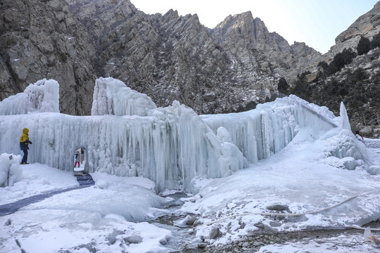 贺兰山岩画景区