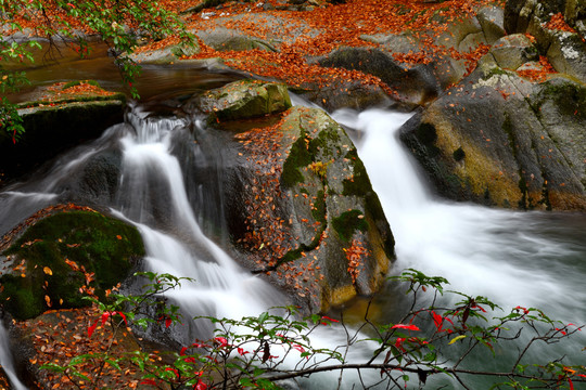 光雾山红叶流水