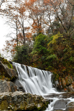 光雾山红叶流水